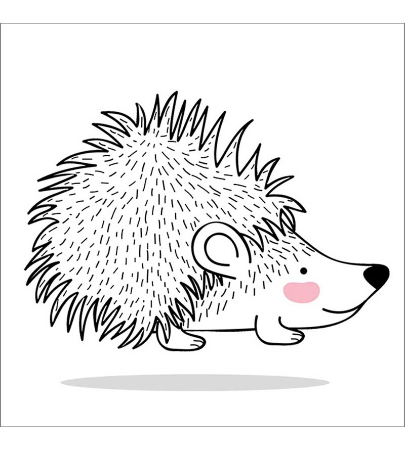 Porco Espinho Minimalista