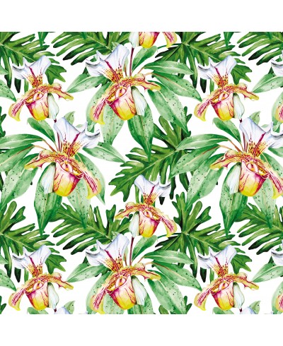 Papel de Parede Fotomural Orquídeas Papel de Parede Fotomural Orquídeas