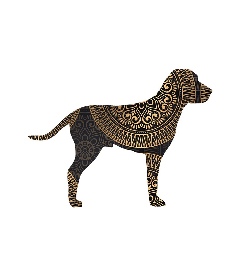 Adesivo Cachorrinho Mandala Paisley