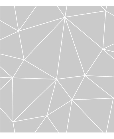 Papel de Parede Geométrico Polígonos em Tons de Cinza e Branco