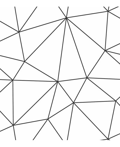 Papel de Parede Geométrico Polígonos em Tons de Branco e Preto