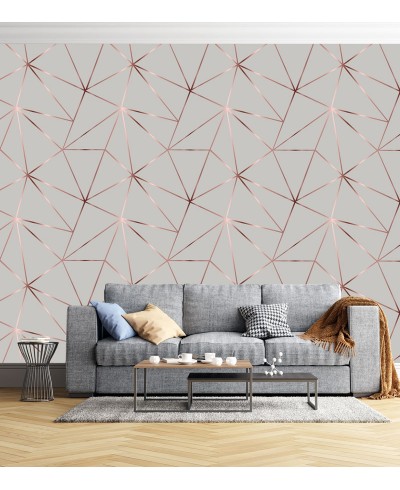 Papel de parede Geométrico Rose Silver