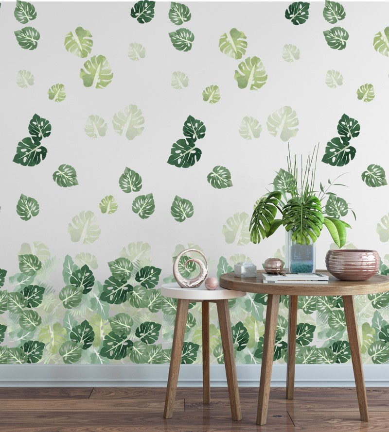 Papel de parede Folhas de Monstera