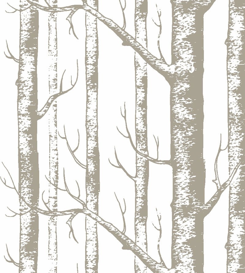 Papel de parede Benjamin gray