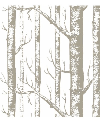 Papel de parede Benjamin gray