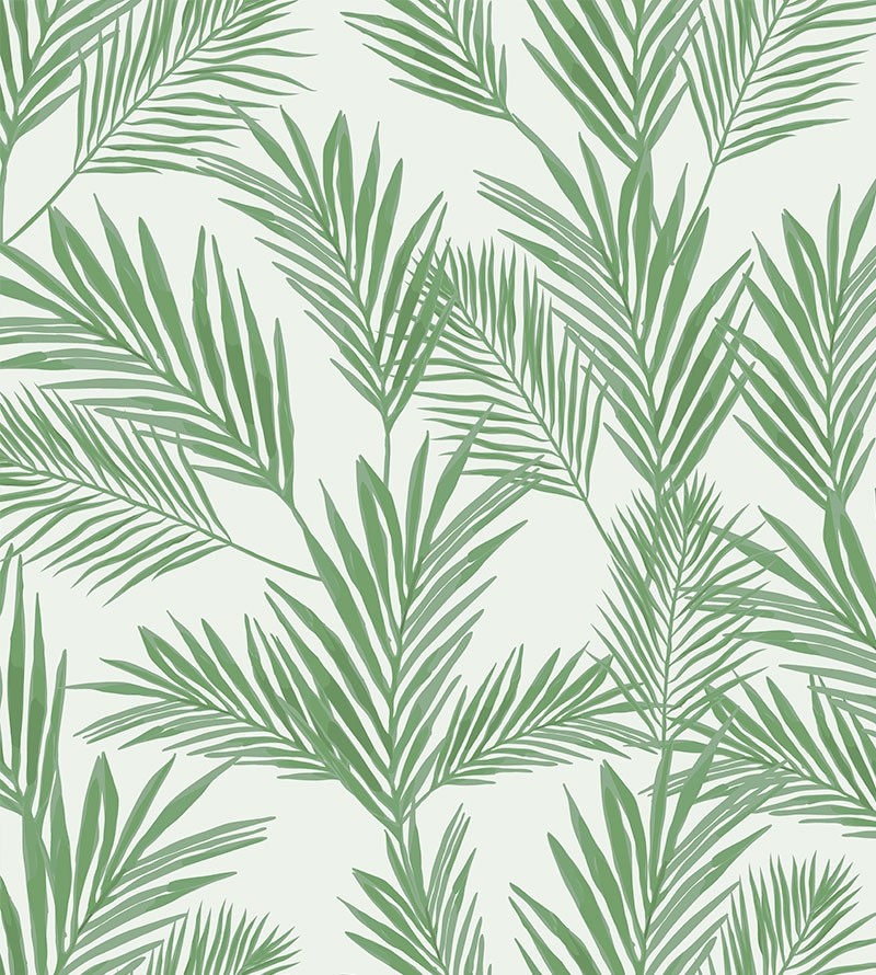 Papel de parede Campestre Palm