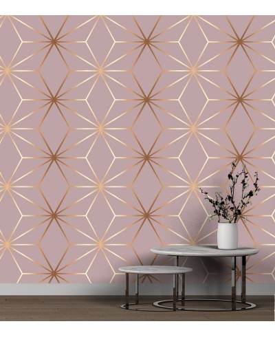 Papel de Parede Brigite tons de rosa e gold