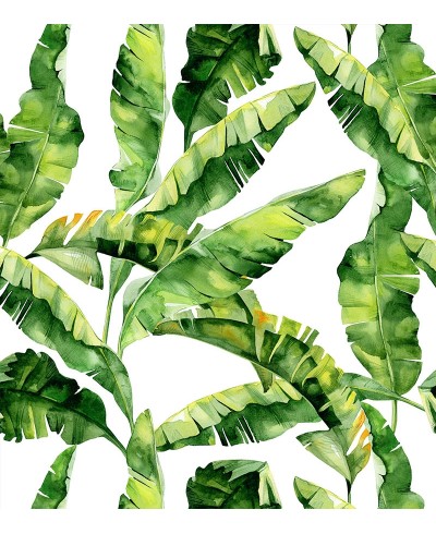 Papel de parede Campestre Folhagens tropicais