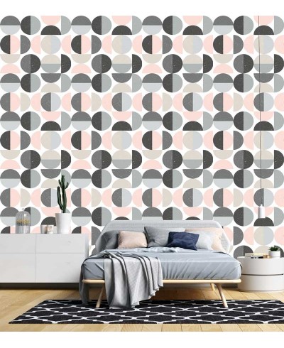 Papel de parede Geométrico Círculos Em tons de Rosa e Cizna