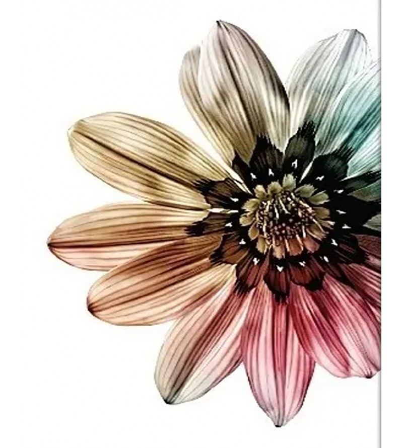 Kit Quadros de Flores