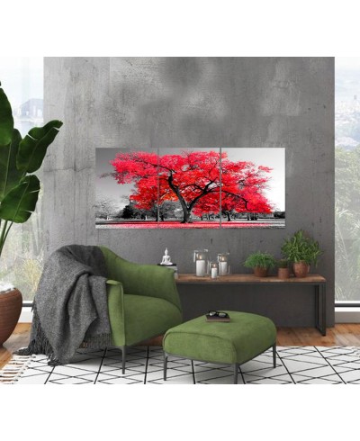 Kit Quadros Árvore da Vida