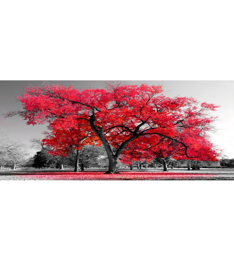 Kit Quadros Árvore da Vida