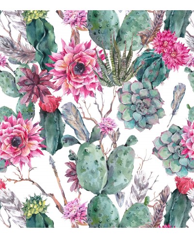 Papel De Parede Adesivo Cactos com Flores Papel De Parede Adesivo Cactos com Flores