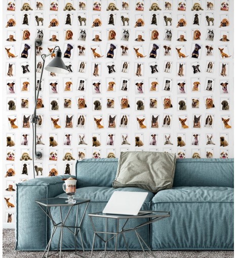 Papel De Parede Adesivo Retrato Canino