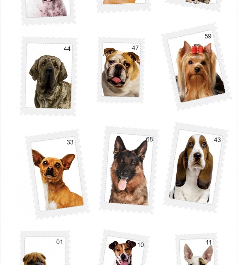 Papel De Parede Adesivo Retrato Canino