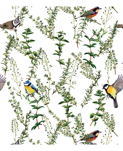 Papel De Parede Adesivo Chapim Papel De Parede Adesivo Chapim