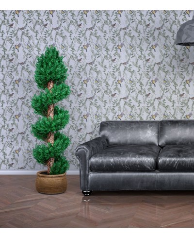 Papel De Parede Adesivo Chapim Papel De Parede Adesivo Chapim