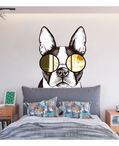Foto Mural Decorativo de cachorro com óculos de acrílico