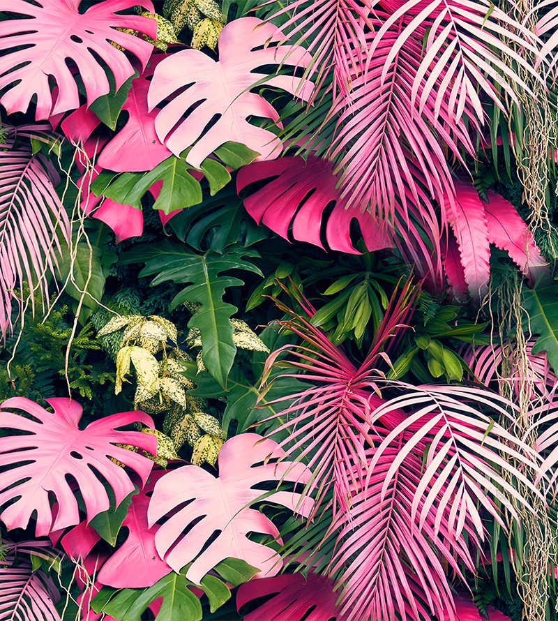 Papel De Parede Folhas Rosa Painel Vivo