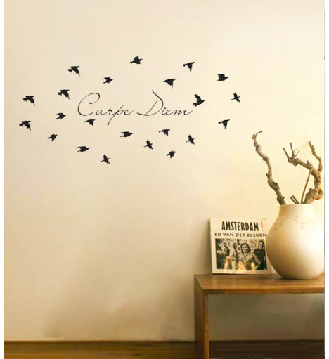 Adesivo de parede duas cores para sala Carpe Diem com passáros
