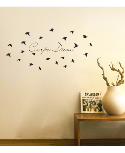 Adesivo de parede duas cores para sala Carpe Diem com passáros