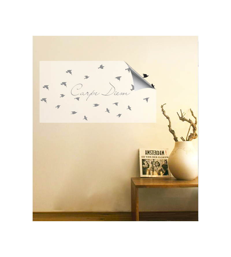 Adesivo de parede duas cores para sala Carpe Diem com passáros
