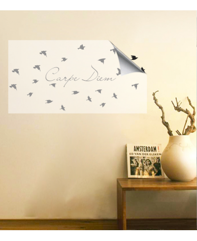 Adesivo de parede duas cores para sala Carpe Diem com passáros