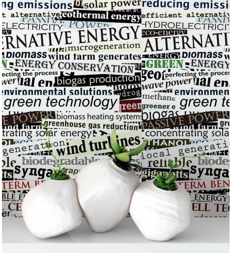 Papel de parede com fundo branco e escritas em preto, verde e vermelho - Jornal 13