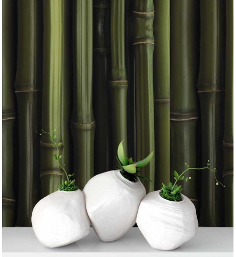 Papel de parede estilo madeira, modelo bambu em tons verde com fundo preto - Madeira 85