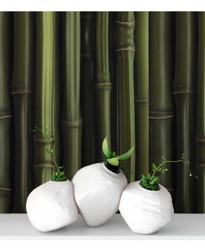 Papel de parede estilo madeira, modelo bambu em tons verde com fundo preto - Madeira 85