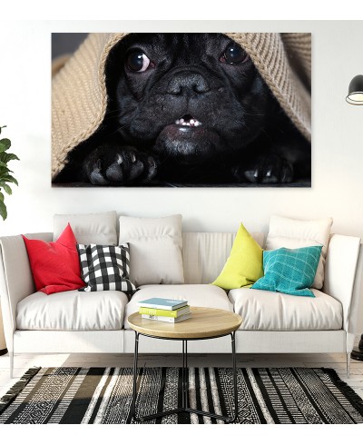 Painel Fotográfico Cachorinho na Coberta