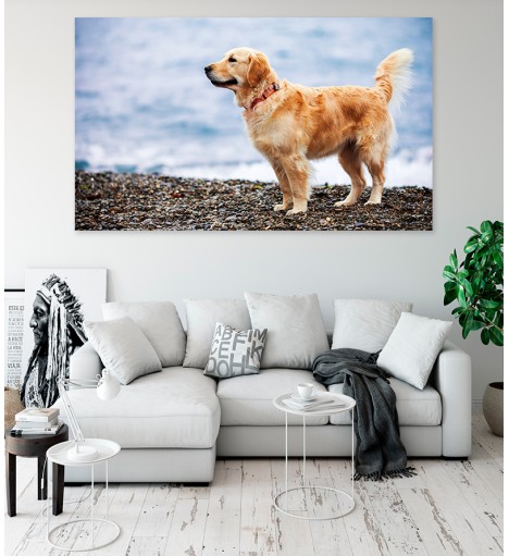 Painel Fotográfico Cachorro