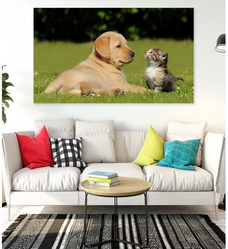 Painel Fotográfico Cão e Gato