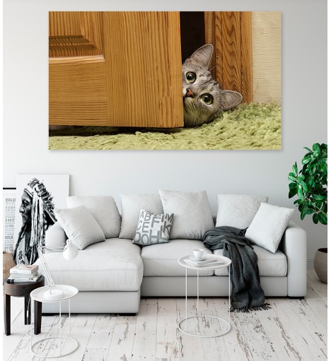 Painel Fotográfico Gatinho na Porta