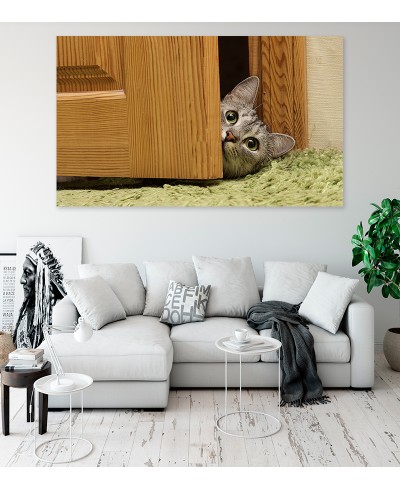 Painel Fotográfico Gatinho na Porta