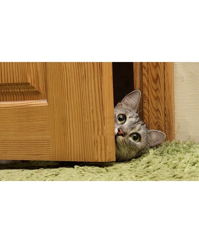 Painel Fotográfico Gatinho na Porta