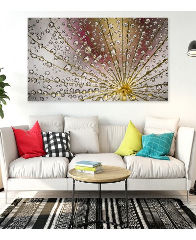 Painel Fotográfico Goticulas de Agua