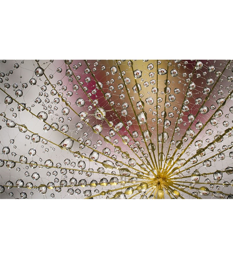 Painel Fotográfico Goticulas de Agua