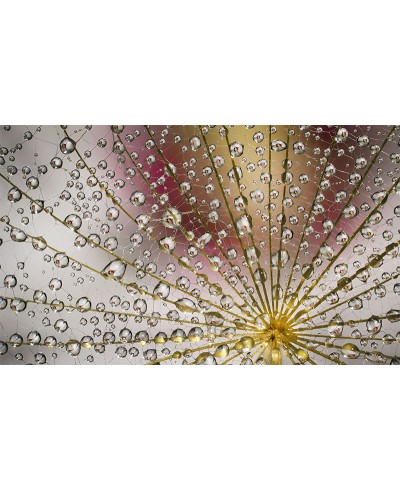 Painel Fotográfico Goticulas de Agua