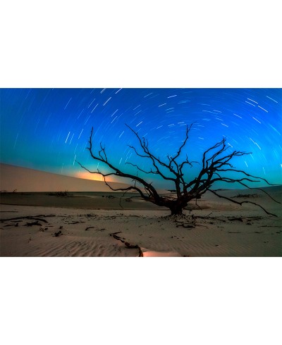 Painel Fotográfico Paisagem Deserto