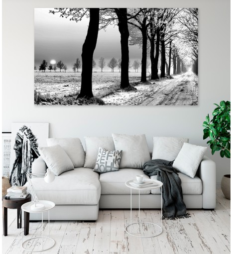 Painel Fotográfico Paisagem Gelo