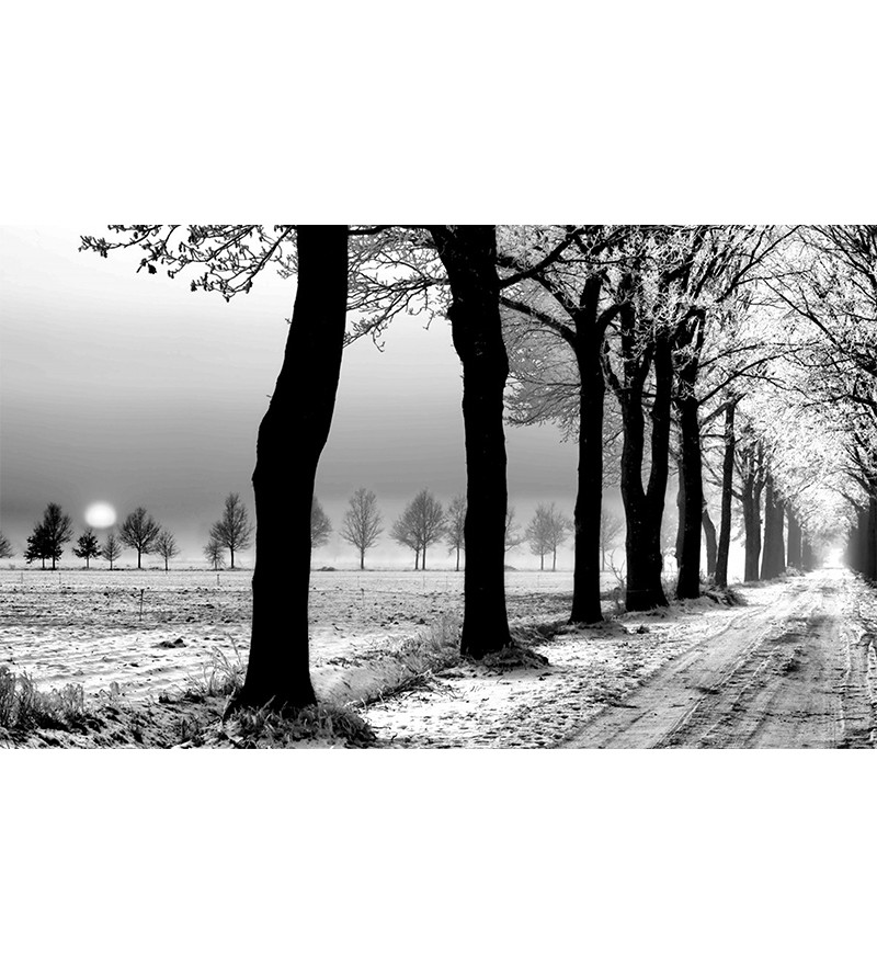 Painel Fotográfico Paisagem Gelo