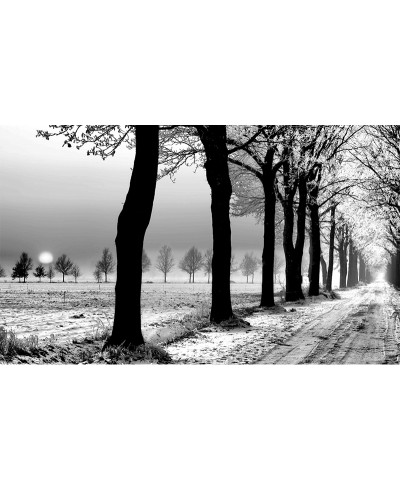 Painel Fotográfico Paisagem Gelo Painel Fotográfico Paisagem Gelo