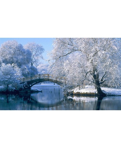 Painel Fotográfico Paisagem Ponte Painel Fotográfico Paisagem Ponte