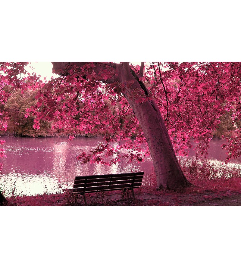 Painel Fotográfico Paisagem Lago