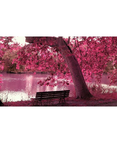 Painel Fotográfico Paisagem Lago Painel Fotográfico Paisagem Lago