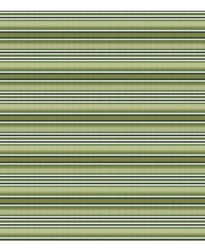 Papel de parede em tons verde com listras brancas e pretas - Listrado 73 Papel de parede em tons verde com listras brancas e pretas - Listrado 73