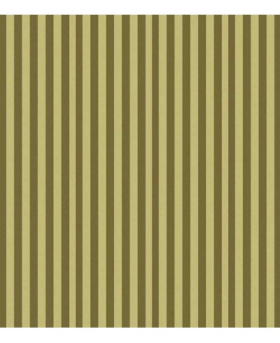 Papel de parede listrado em tons de verde musgo - Listrado 74 Papel de parede listrado em tons de verde musgo - Listrado 74