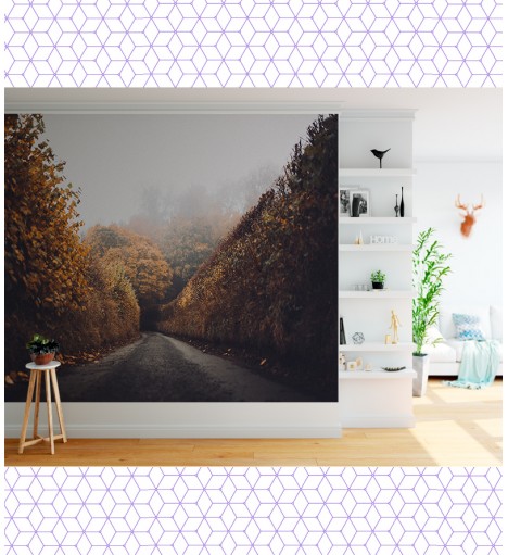 Papel de Parede Foto Mural Caminho Muro Ingles