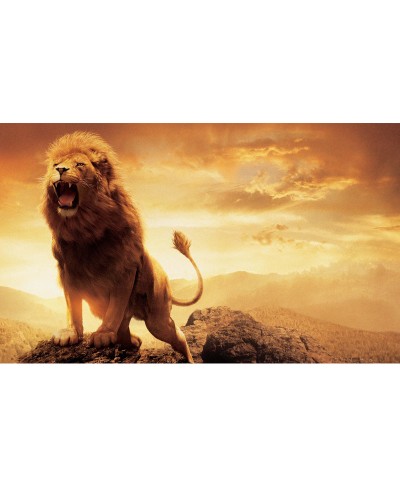 Painel Fotográfico As Cronicas de Narnia - Aslam